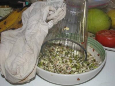 Cooking at home…on vacation Image